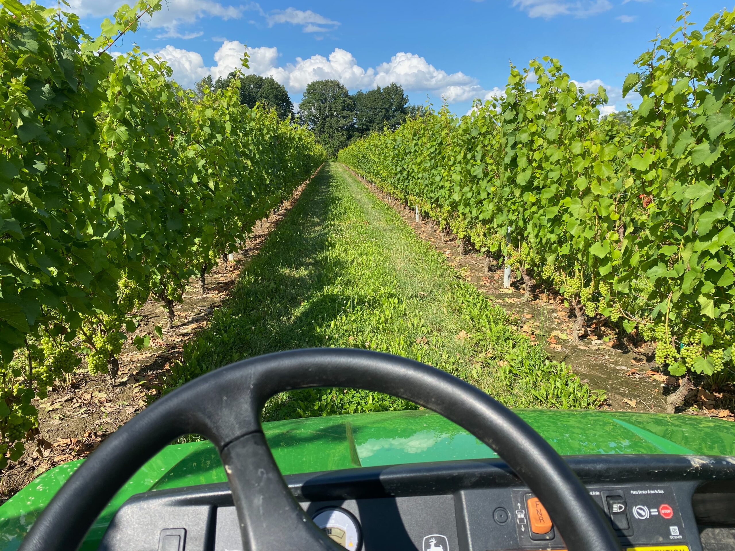 Visite Guidée : Les vendanges mécaniques