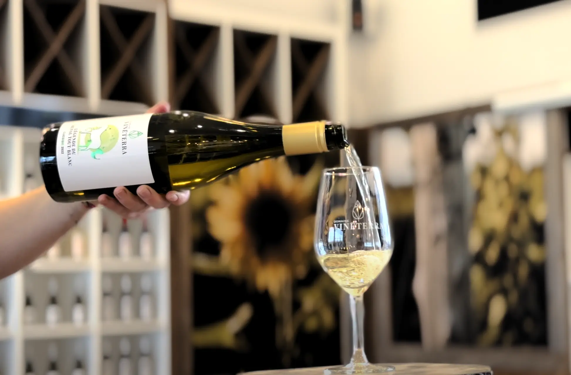 Dégustation Vin Blanc